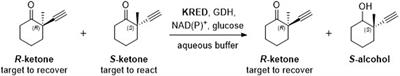 In silico enzyme screening identifies an SDR ketoreductase from Thermus caliditerrae as an attractive biocatalyst and promising candidate for protein engineering